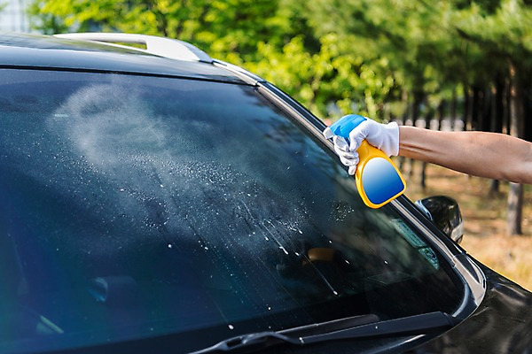 포토 JPG 주간 나무 손 자동차 유리 들기 야외 아웃포커스 신체부위 여름 비 청소 스프레이 장마 목장갑 방수 국내포토 자연요소 식물 계절 육상교통 장갑 모션 재질 날씨 촬영기법 사람 비_날씨 파일형식