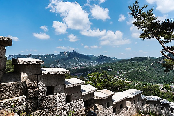 포토 JPG 주간 나무 전통 한국건축 자연 하늘 산 한국 풍경 사람없음 야외 트래킹 성 성곽길 인왕산 한양도성 국내포토 자연요소 식물 건축물 건축 아시아 길 레저 서울 생태계 파일형식