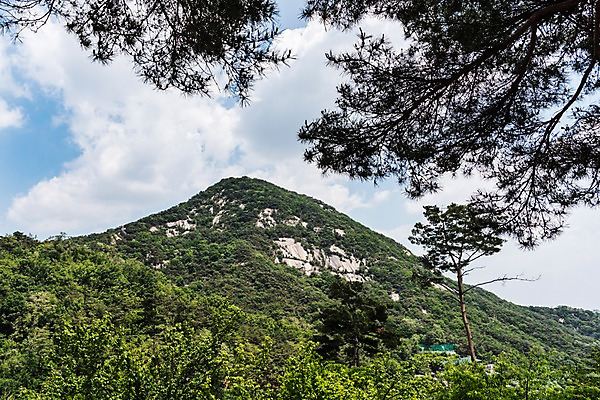 포토 JPG 주간 나무 자연 하늘 산 풍경 사람없음 야외 트래킹 인왕산 한양도성 국내포토 자연요소 식물 레저 서울 생태계 파일형식