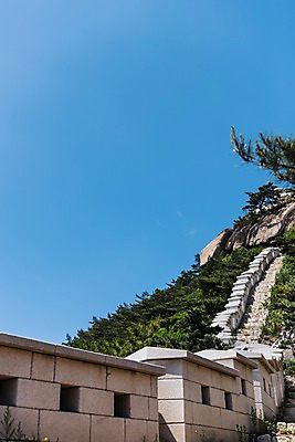 포토 JPG 주간 나무 전통 한국건축 자연 하늘 산 한국 풍경 사람없음 야외 트래킹 성 성곽길 인왕산 한양도성 국내포토 자연요소 식물 건축물 건축 아시아 길 레저 서울 생태계 파일형식
