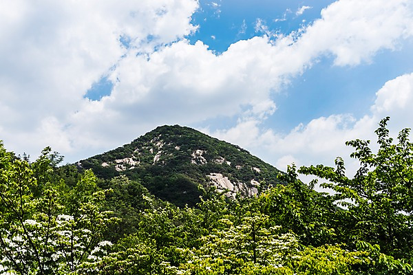 포토 JPG 주간 나무 자연 하늘 산 풍경 사람없음 야외 트래킹 인왕산 한양도성 국내포토 자연요소 식물 레저 서울 생태계 파일형식