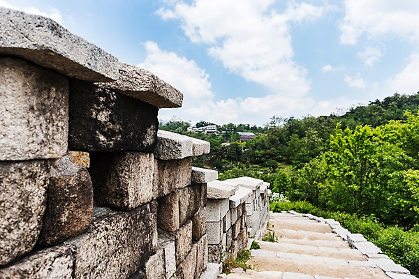 포토 JPG 주간 나무 전통 한국건축 자연 하늘 한국 풍경 사람없음 야외 트래킹 성 성곽길 인왕산 한양도성 국내포토 자연요소 식물 건축물 건축 아시아 길 레저 산 서울 생태계 파일형식