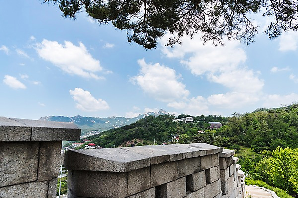 포토 JPG 주간 나무 전통 한국건축 자연 하늘 산 한국 풍경 사람없음 야외 트래킹 성 성곽길 인왕산 한양도성 국내포토 자연요소 식물 건축물 건축 아시아 길 레저 서울 생태계 파일형식