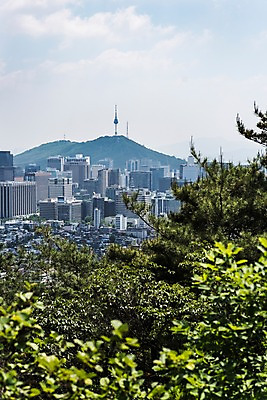 포토 JPG 주간 나무 자연 풍경 빌딩 사람없음 야외 건물 트래킹 빌딩숲 남산타워 인왕산 한양도성 국내포토 자연요소 식물 건축물 레저 산 서울 생태계 남산 파일형식