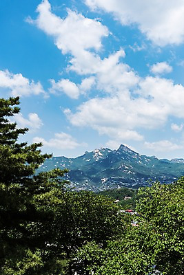 포토 JPG 주간 나무 구름 자연 하늘 산 풍경 사람없음 야외 트래킹 인왕산 한양도성 국내포토 자연요소 식물 레저 서울 생태계 파일형식