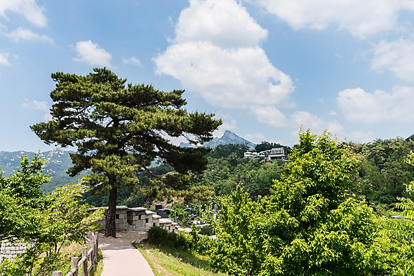포토 JPG 주간 나무 전통 한국건축 자연 하늘 산 한국 풍경 사람없음 야외 트래킹 성 성곽길 인왕산 한양도성 국내포토 자연요소 식물 건축물 건축 아시아 길 레저 서울 생태계 파일형식