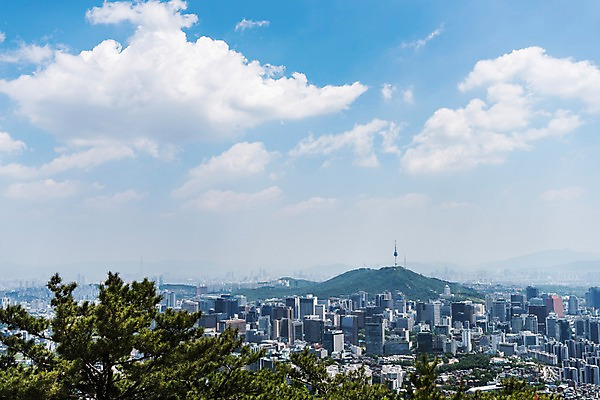 포토 JPG 주간 나무 자연 하늘 산 풍경 빌딩 사람없음 야외 건물 트래킹 빌딩숲 남산타워 인왕산 한양도성 국내포토 자연요소 식물 건축물 레저 서울 생태계 남산 파일형식