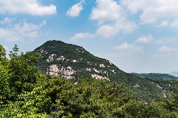 포토 JPG 주간 나무 자연 하늘 산 풍경 사람없음 야외 인왕산 한양도성 국내포토 자연요소 식물 서울 생태계 파일형식