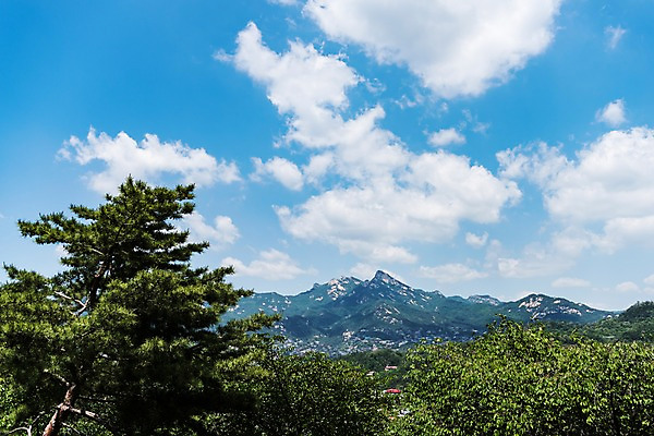 포토 JPG 주간 나무 자연 하늘 산 풍경 사람없음 야외 인왕산 한양도성 국내포토 자연요소 식물 서울 생태계 파일형식