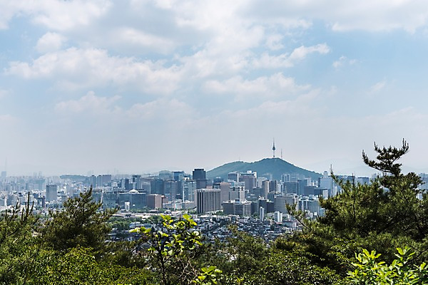 포토 JPG 주간 나무 자연 하늘 한국 풍경 빌딩 사람없음 야외 빌딩숲 인왕산 한양도성 국내포토 자연요소 식물 아시아 산 서울 건물 생태계 파일형식