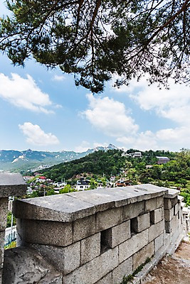 포토 JPG 주간 나무 전통 한국건축 자연 하늘 산 주택 한국 풍경 사람없음 야외 트래킹 성 성곽길 인왕산 한양도성 국내포토 자연요소 식물 건축물 건축 아시아 길 레저 서울 건물 생태계 파일형식