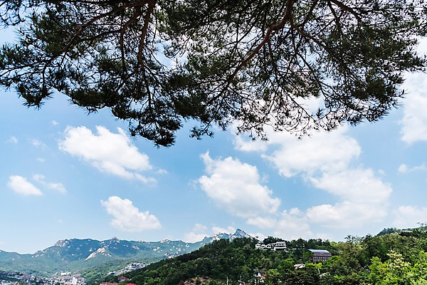포토 JPG 주간 나무 자연 하늘 산 주택 한국 풍경 사람없음 야외 인왕산 한양도성 국내포토 자연요소 식물 아시아 서울 건물 생태계 파일형식