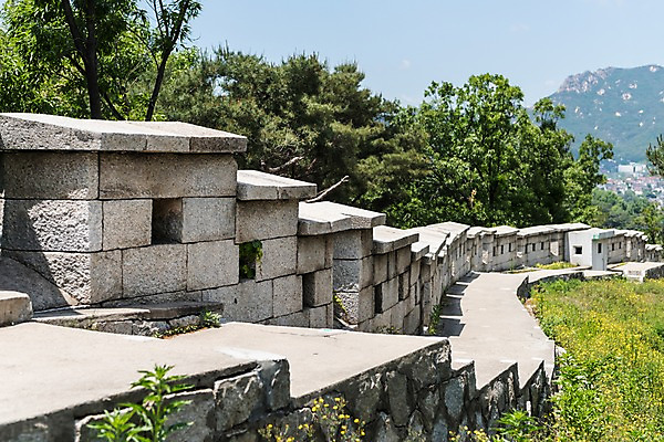 포토 JPG 주간 나무 전통 꽃 길 한국건축 자연 한국 돌담 풍경 사람없음 야외 트래킹 성 성곽길 인왕산 한양도성 국내포토 자연요소 식물 건축물 건축 아시아 레저 산 서울 담장 돌_바위 생태계 파일형식