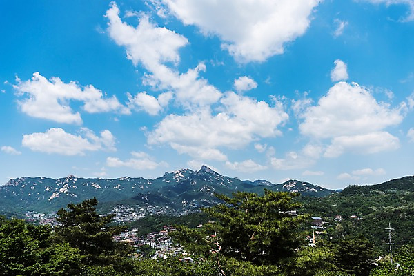 포토 JPG 주간 나무 자연 하늘 산 한국 풍경 사람없음 야외 인왕산 한양도성 국내포토 자연요소 식물 아시아 서울 생태계 파일형식