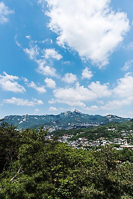 포토 JPG 주간 나무 자연 하늘 산 주택 한국 풍경 사람없음 야외 인왕산 한양도성 국내포토 자연요소 식물 아시아 서울 건물 생태계 파일형식