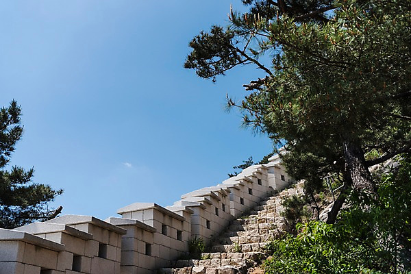 포토 JPG 주간 나무 전통 길 한국건축 하늘 한국 돌담 사람없음 야외 계단 트래킹 성 성곽길 인왕산 한양도성 국내포토 자연요소 식물 건축물 건축 아시아 레저 산 서울 담장 돌_바위 파일형식