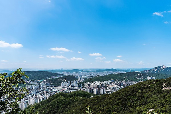 포토 JPG 주간 나무 하늘 산 한국 풍경 빌딩 사람없음 야외 빌딩숲 인왕산 한양도성 국내포토 자연요소 식물 아시아 서울 건물 파일형식
