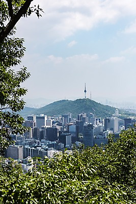 포토 JPG 주간 나무 하늘 산 한국 풍경 빌딩 사람없음 야외 빌딩숲 남산타워 인왕산 한양도성 국내포토 자연요소 식물 아시아 서울 건물 남산 파일형식