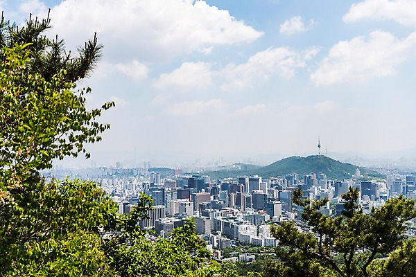 포토 JPG 주간 나무 하늘 산 한국 풍경 빌딩 사람없음 야외 빌딩숲 남산타워 인왕산 한양도성 국내포토 자연요소 식물 아시아 서울 건물 남산 파일형식