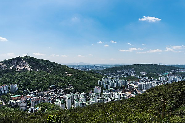 포토 JPG 주간 나무 자연 하늘 한국 풍경 빌딩 사람없음 야외 건물 숲 빌딩숲 인왕산 한양도성 국내포토 자연요소 식물 건축물 아시아 산 서울 생태계 파일형식