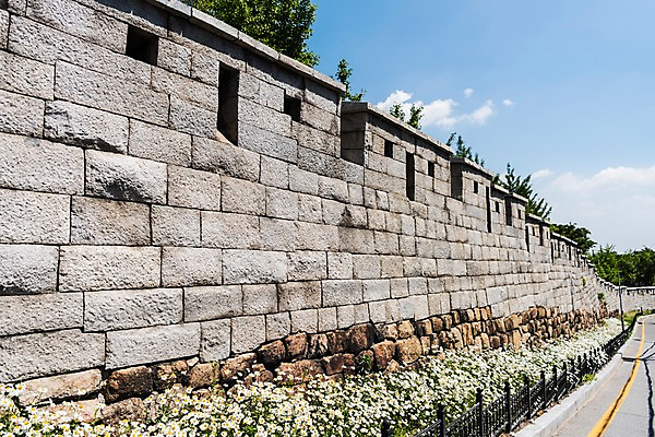 포토 JPG 주간 나무 전통 꽃 길 꽃밭 한국건축 하늘 한국 돌담 사람없음 야외 트래킹 성 민들레 성곽길 인왕산 한양도성 국내포토 자연요소 식물 건축물 건축 아시아 레저 산 서울 담장 돌_바위 파일형식