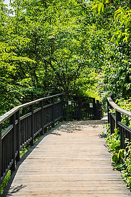 포토 JPG 주간 나무 길 자연 한국 풍경 사람없음 야외 트래킹 가교 인왕산 한양도성 국내포토 자연요소 식물 건축물 아시아 레저 산 서울 생태계 파일형식