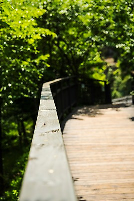 포토 JPG 주간 나무 길 자연 한국 풍경 사람없음 야외 아웃포커스 트래킹 인왕산 한양도성 국내포토 자연요소 식물 아시아 레저 산 서울 촬영기법 생태계 파일형식