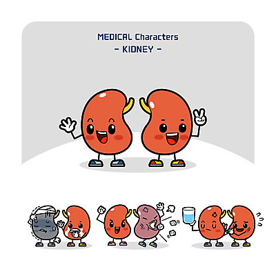캐릭터 일러스트 의학 사람없음 물 건강관리 고통 돌_바위 신장 장기 질병 의학캐릭터 일러캐릭터 AI파일 자연요소 감정 신체 건강 관리 비뇨기관 파일형식 벡터