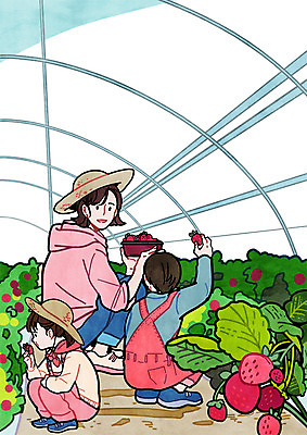 전신 PSD 여자 남자 딸 아들 여행 일러스트 가족 딸기 엄마 앉기 성인 세명 비닐하우스 딸기잼 딸기따기 딸기농장 국내일러스트 농업 과일 관계 모션 사람 농장 잼 파일형식