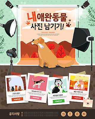 PSD 나무 템플릿 웹템플릿 단풍 여러마리 조명 이벤트페이지 이벤트 사람없음 반려동물 사진촬영 고양이 강아지 반려 이미지템플릿 식물 동물 다수 잎 포유류 촬영 개 페이지 파일형식