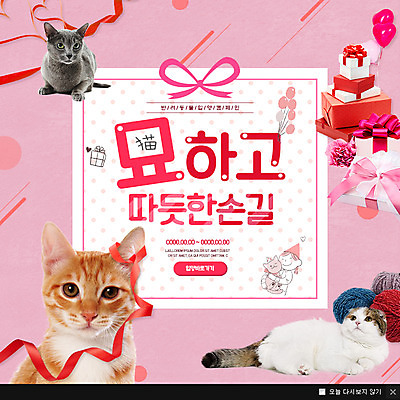 PSD 템플릿 리본 분홍색 웹템플릿 팝업 이벤트팝업 웹팝업 세마리 이벤트 사람없음 선물상자 반려동물 고양이 털실 반려 반려묘 이미지템플릿 동물 컬러 포유류 3 선물 상자 실 파일형식