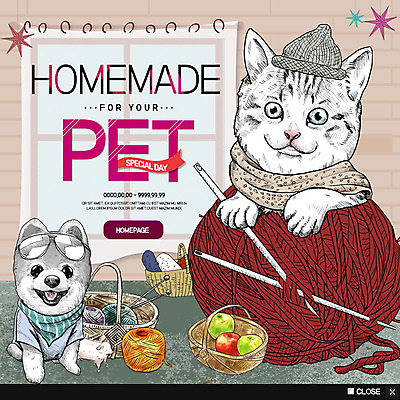PSD 템플릿 웹템플릿 두마리 팝업 이벤트팝업 웹팝업 이벤트 사람없음 반려동물 바구니 고양이 털실 강아지 사과 반려 홈메이드 이미지템플릿 동물 2 과일 포유류 실 개 만들기 파일형식