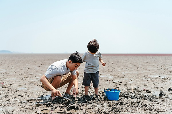 포토 JPG 주간 전신 응시 남자 아들 어린이 가족 조개 서기 앉기 성인 야외 두명 앞모습 한국인 잡기 체험 아빠 삽 양동이 갯벌 삽질 부자지간 남자만 국내포토 자연요소 시선 뷰포인트 컨셉 관계 모션 어패류 사람 동양인 파일형식