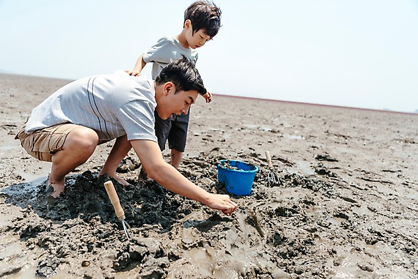 포토 JPG 주간 전신 응시 남자 아들 어린이 가족 조개 서기 미소 앉기 성인 야외 두명 옆모습 한국인 게 잡기 체험 아빠 양동이 갯벌 부자지간 남자만 국내포토 자연요소 시선 뷰포인트 컨셉 관계 모션 어패류 표정 갑각류 사람 동양인 파일형식