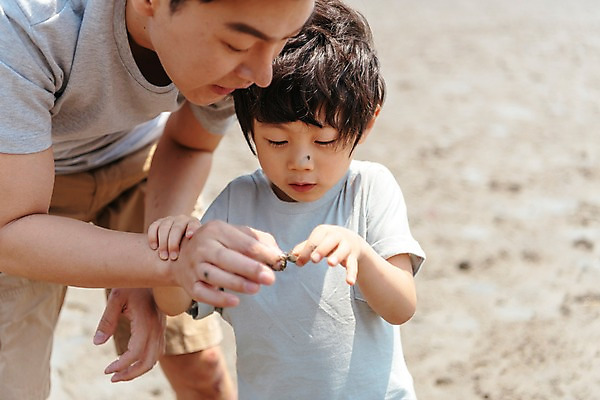 포토 JPG 주간 응시 남자 아들 어린이 가족 서기 상반신 성인 야외 두명 앞모습 아웃포커스 한국인 게 잡기 체험 아빠 갯벌 부자지간 남자만 국내포토 자연요소 시선 뷰포인트 컨셉 관계 모션 촬영기법 갑각류 사람 동양인 파일형식