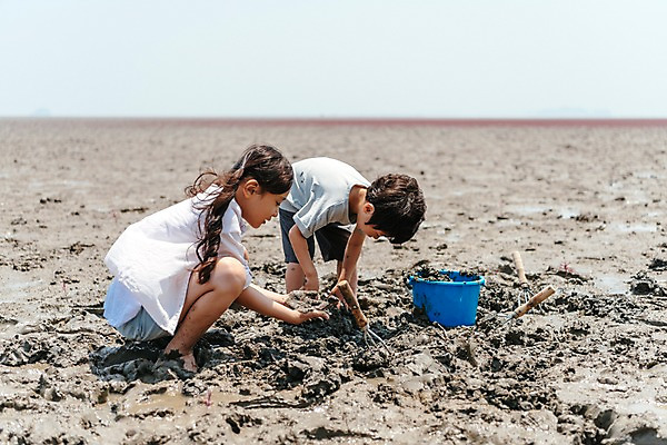 포토 JPG 주간 전신 응시 여자 남자 어린이 가족 조개 남매 앉기 야외 두명 옆모습 한국인 잡기 체험 삽 양동이 갯벌 국내포토 자연요소 시선 뷰포인트 컨셉 관계 모션 어패류 사람 동양인 파일형식