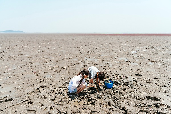 포토 JPG 주간 응시 여자 남자 어린이 가족 조개 남매 앉기 상반신 야외 두명 옆모습 하이앵글 한국인 잡기 체험 삽 양동이 갯벌 삽질 국내포토 자연요소 시선 뷰포인트 컨셉 관계 모션 어패류 사람 동양인 파일형식