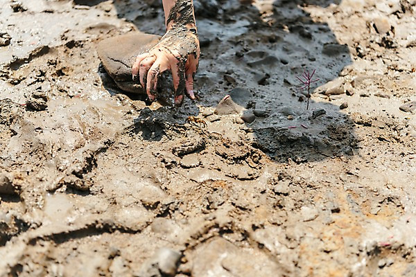 포토 JPG 주간 한마리 손 조개 그림자 한명 야외 신체부위 한국인 게 잡기 체험 갯벌 국내포토 자연요소 1 컨셉 모션 어패류 갑각류 사람 동양인 파일형식