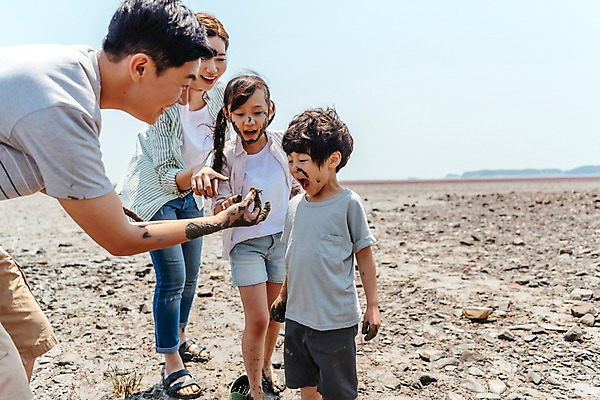 포토 JPG 주간 전신 응시 여자 남자 딸 아들 어린이 장난 가족 엄마 조개 서기 미소 여러명 상반신 성인 야외 앞모습 옆모습 30대 한국인 게 잡기 체험 아빠 진흙 갯벌 국내포토 자연요소 시선 뷰포인트 다수 컨셉 관계 모션 어패류 표정 갑각류 사람 동양인 장년 파일형식