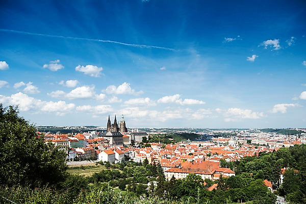 포토 JPG 주간 나무 구름 해외풍경 해외 유럽 유럽풍경 하늘 풍경 사람없음 야외 건물 체코 프라하 동유럽 프라하성 국내포토 자연요소 식물 건축물 나라 성 파일형식