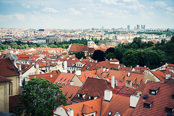 포토 JPG 주간 나무 해외풍경 해외 유럽 유럽풍경 하늘 지붕 풍경 사람없음 야외 건물 체코 프라하 동유럽 국내포토 자연요소 식물 건축물 나라 파일형식