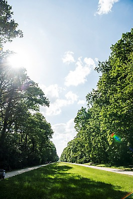 포토 JPG 주간 나무 해외풍경 해외 공원 유럽 길 유럽풍경 하늘 풍경 초원 사람없음 야외 체코 프라하 동유럽 국내포토 자연요소 식물 공공시설 나라 파일형식