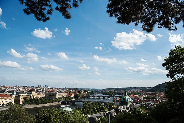 포토 JPG 주간 나무 구름 해외풍경 해외 유럽 유럽풍경 하늘 풍경 사람없음 야외 건물 강 체코 프라하 동유럽 가교 국내포토 자연요소 식물 건축물 나라 파일형식