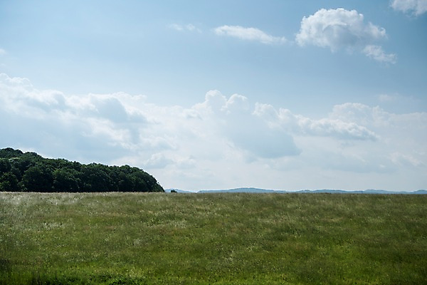 포토 JPG 주간 나무 구름 해외풍경 해외 유럽 유럽풍경 하늘 풍경 초원 사람없음 야외 체코 프라하 동유럽 국내포토 자연요소 식물 나라 파일형식