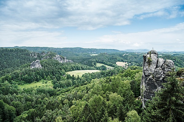 포토 JPG 주간 나무 해외풍경 해외 유럽 유럽풍경 자연 하늘 독일 풍경 사람없음 야외 절벽 동유럽 작센스위스 국내포토 자연요소 식물 나라 생태계 파일형식