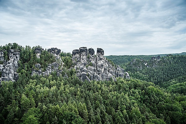 포토 JPG 주간 나무 해외풍경 해외 유럽 유럽풍경 자연 하늘 독일 풍경 사람없음 야외 절벽 동유럽 작센스위스 국내포토 자연요소 식물 나라 생태계 파일형식