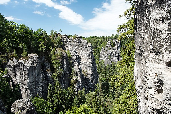 포토 JPG 주간 나무 해외풍경 해외 유럽 유럽풍경 자연 하늘 독일 풍경 사람없음 야외 절벽 동유럽 작센스위스 국내포토 자연요소 식물 나라 생태계 파일형식