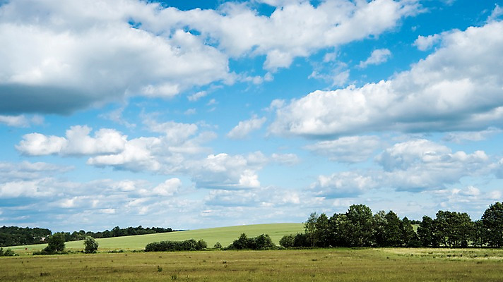 포토 JPG 주간 나무 구름 해외풍경 해외 유럽 유럽풍경 하늘 풍경 초원 사람없음 야외 체코 프라하 동유럽 국내포토 자연요소 식물 나라 파일형식