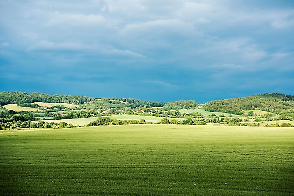 포토 JPG 주간 나무 해외풍경 해외 유럽 유럽풍경 하늘 풍경 초원 사람없음 야외 체코 프라하 동유럽 국내포토 자연요소 식물 나라 파일형식