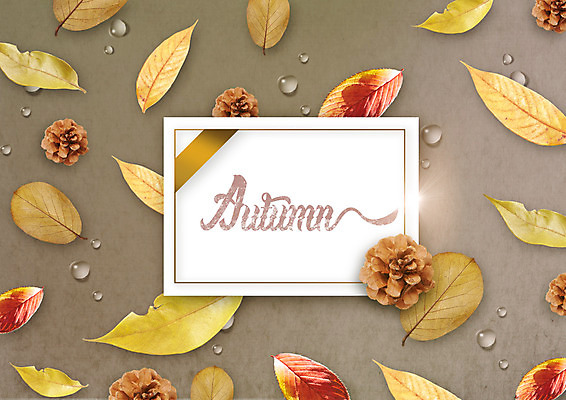 PSD 편집 편집이미지 종이 낙엽 나뭇잎 사각프레임 사람없음 가을 물방울 솔방울 이미지편집 계절 잎 프레임 사각형 파일형식
